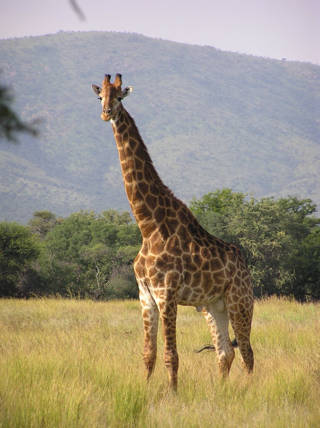 Botswana travel scenery