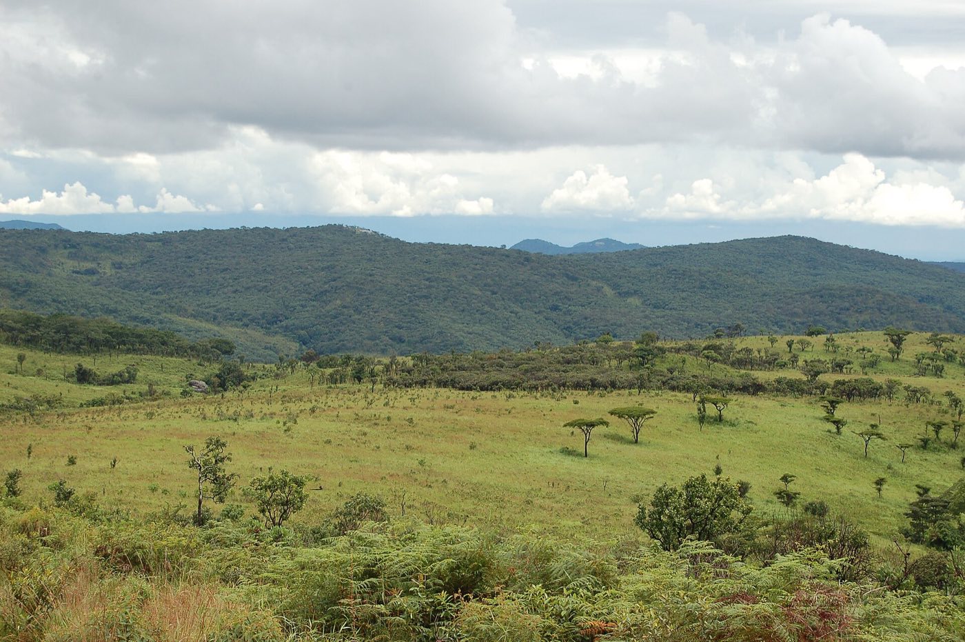 Malawi travel scenery