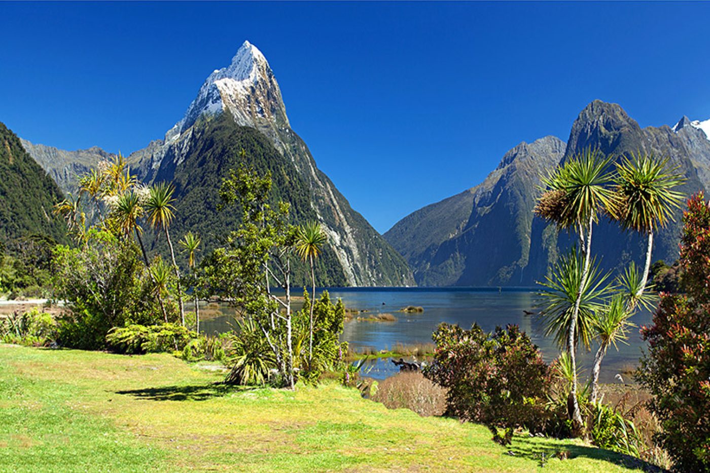 New Zealand travel scenery