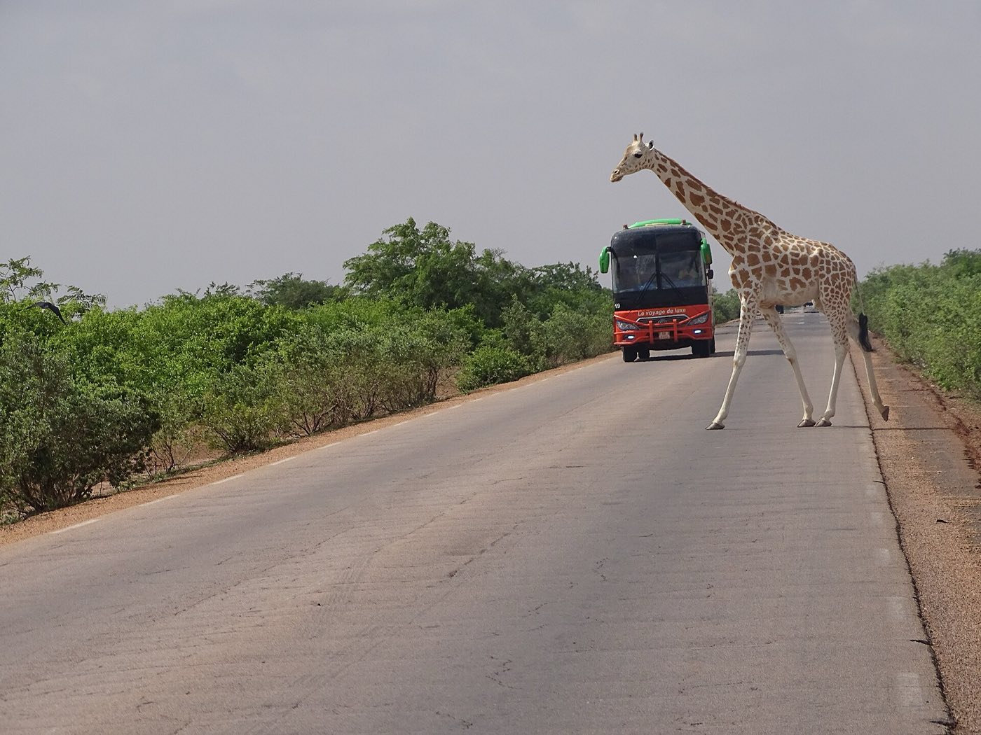 Niger travel scenery